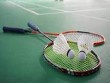 Xüsusi olimpiyaçılar badminton yarışlarında güclərini sınayacaqlar